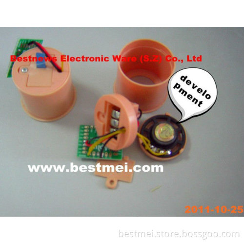 mini sounding box